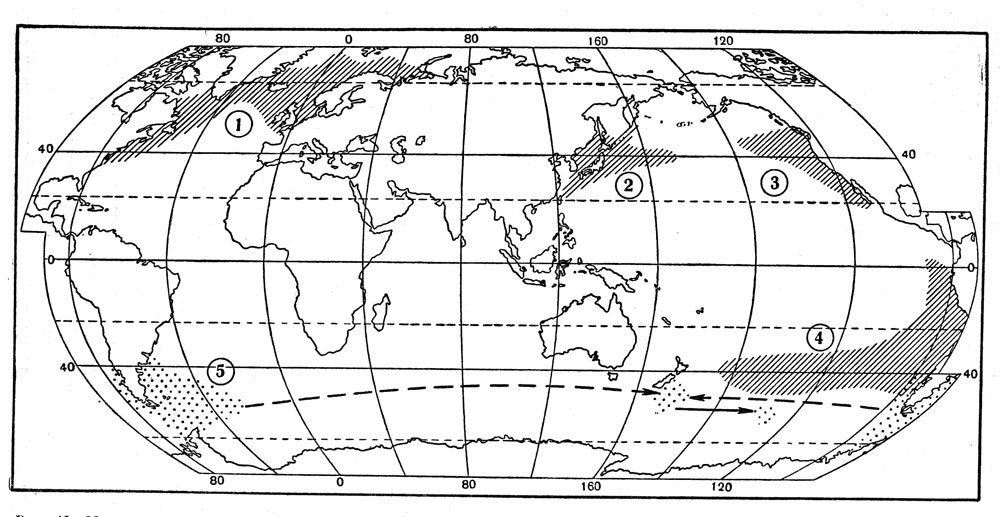 Рис, 15. Максимально расширенные ареалы  псевдонеритических рыб — атлантической сельди (1), сардины иваси и дальневосточной скумбрии (2), калифорнийской (3) и перуано-чилийской ставриды (4) и возможные пути расселения южной путассу (3).